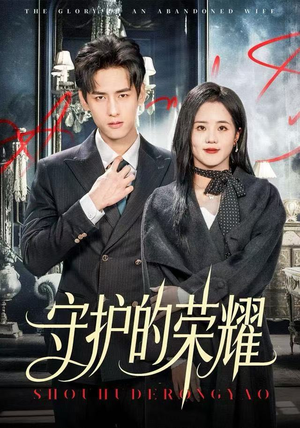守护的荣耀（69集）一口气追完全集