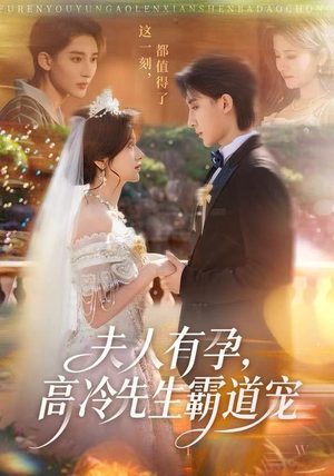 夫人有孕，高冷先生霸道宠（60集）番茄短剧免费看