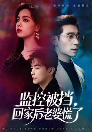 监控被挡，回家后老婆慌了（60集）网络小短剧