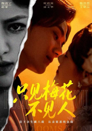 只见梅花不见人（63集）在线免费观影