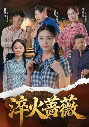 淬火蔷薇（50集）免费版