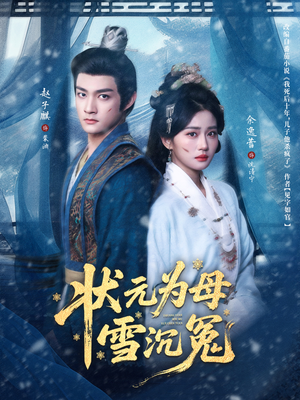 状元为母雪沉冤（58集）视频在线看