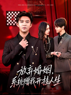 放弃婚姻，系统赠我开挂人生（60集）一共多少集