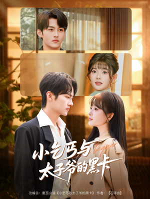 小乞丐与太子爷的黑卡（60集）直接追到结尾