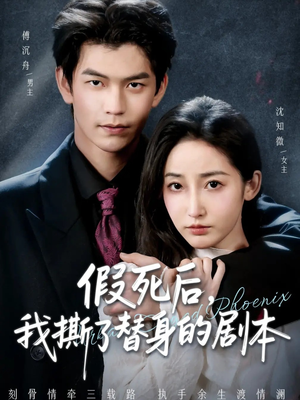 替身掉马后，傅爷连夜清算（78集）评价怎么样