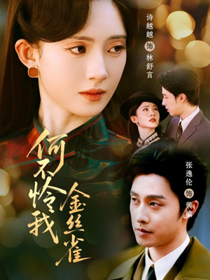 何不怜我金丝雀（60集）越看越好看短剧