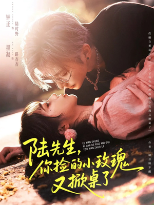 陆先生，你捡的小玫瑰又掀桌了（74集）红果短剧免费看