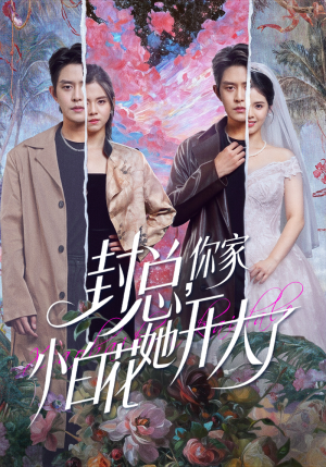 大佬你的牙粘口红了（60集）一起追短剧吧