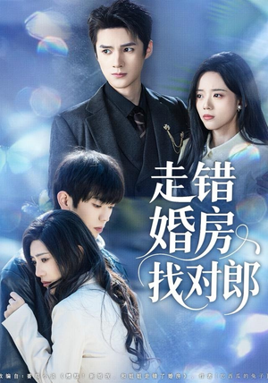 走错婚房找对郎（50集）免费短剧完整版