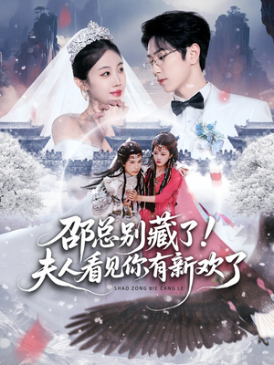 邵总别藏了！夫人看见你有新欢了（70集）免费观看全集