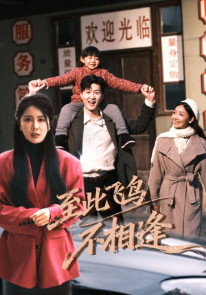 至此飞鸟不相逢（70集）精彩的网络短剧