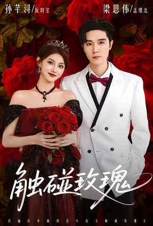 触碰玫瑰（80集）夸克网盘观看