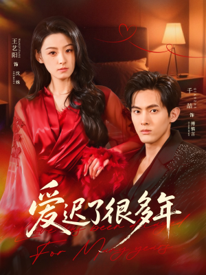 爱迟了很多年（73集）短剧热门推荐