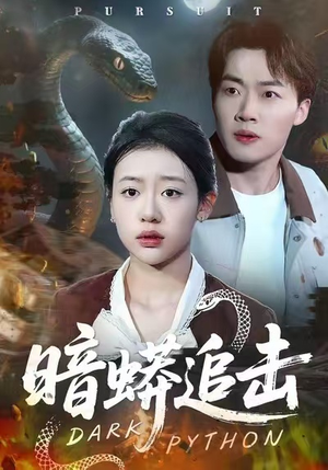 暗蟒追击(35集) 暗蟒追击(35集)在哪个平台能看