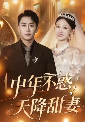 中年不惑，天降甜妻（60集）番茄短剧免费看