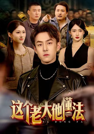 这个老大他懂法（100集）演的怎么样