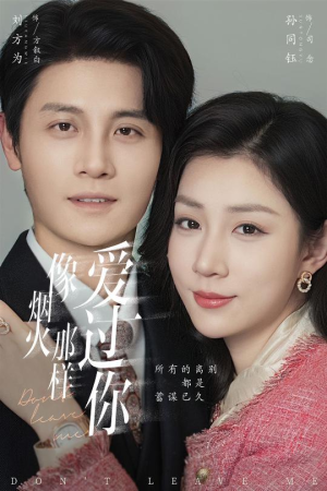 像烟火那样爱过你(62集) 像烟火那样爱过你(62集)全剧免费观看