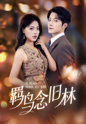 羁鸟念旧林（60集）全集免费观看