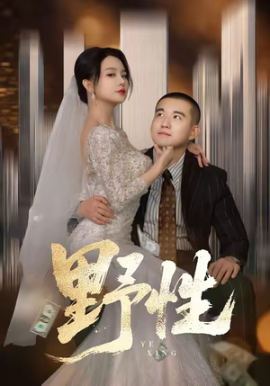 分手后，顶头上司要嫁我（70集）直接追到结尾