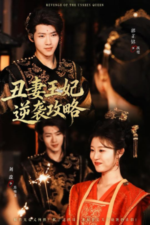 丑妻王妃逆袭攻略（62集）全集在线看