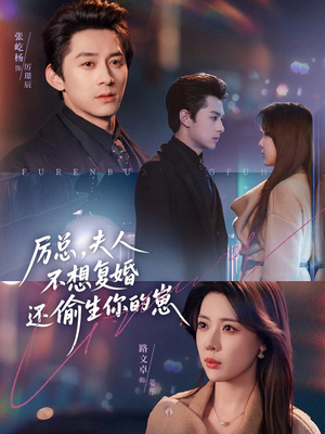 厉总,夫人不想复婚还偷生你的崽(80集) 厉总,夫人不想复婚还偷生你的崽(80集)好看短剧推荐