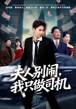 夫人别闹我只做司机（80集）好看的国产短剧