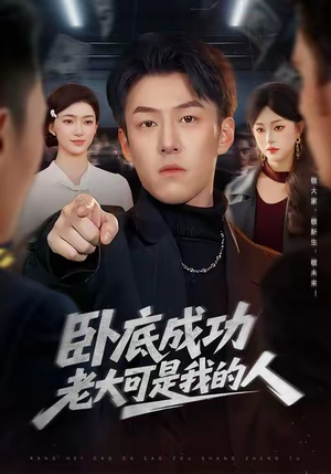卧底成功老大可是我的人(99集) 卧底成功老大可是我的人(99集)每天短剧分享