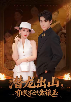 潜龙出山有眼不识金镶玉(78集) 潜龙出山有眼不识金镶玉(78集)爱上了这部剧了