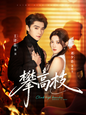 攀高枝（70集）最火爆短剧