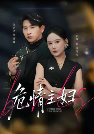 危情主妇(60集) 危情主妇(60集)热门火爆短剧