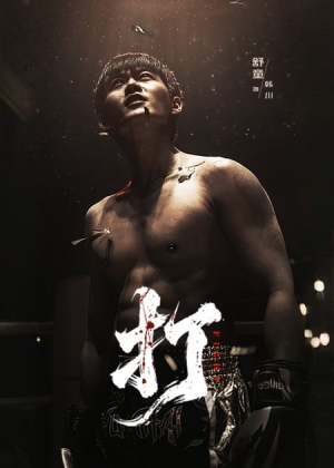 打（63集）精彩好看短剧