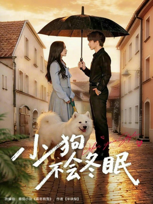 小狗不会冬眠(70集) 小狗不会冬眠(70集)大结局太过瘾了