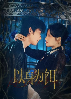 以身为饵（61集）短剧抢先看全集