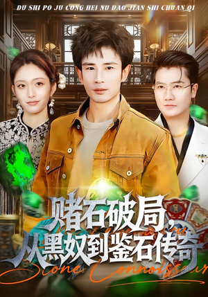 赌石破局，从黑奴到鉴石传奇（64集）短视频追剧推荐