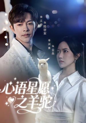 心语星愿之羊驼(60集) 心语星愿之羊驼(60集)一起追生活短剧