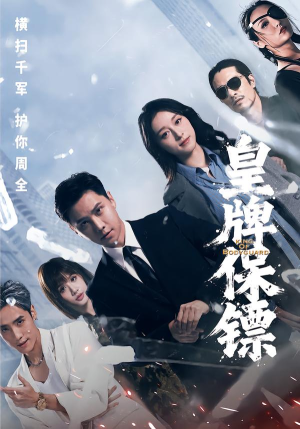 皇牌保镖(66集) 皇牌保镖(66集)评价怎么样