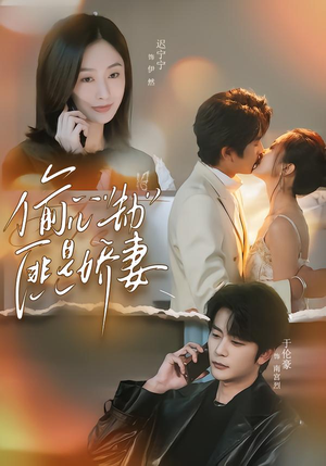 偷心劫匪是娇妻(61集) 偷心劫匪是娇妻(61集)精彩短剧免费看