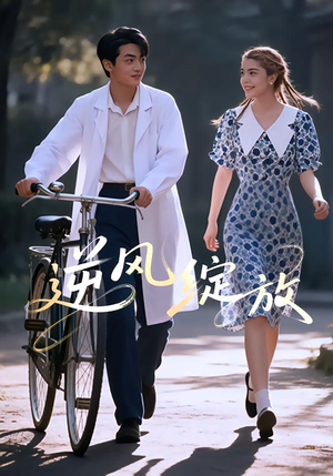 逆风绽放（55集）在哪个app能看