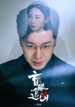 盲眼追凶（60集）在线看到大结局