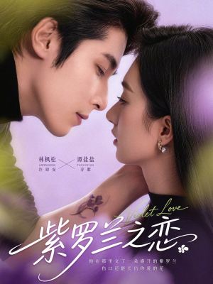 紫罗兰之恋（82集）最火短剧推荐