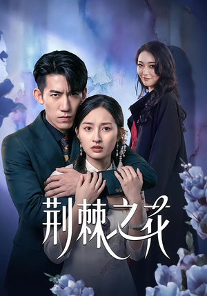 荆棘之花（100集）高分推荐免费看