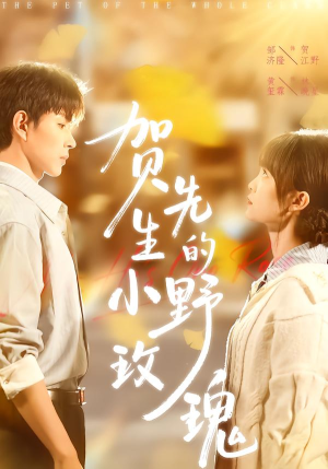 贺先生的小野玫瑰(99集) 贺先生的小野玫瑰(99集)推荐你们也去看