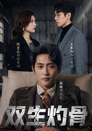 双生灼骨(60集) 双生灼骨(60集)最火短剧推荐