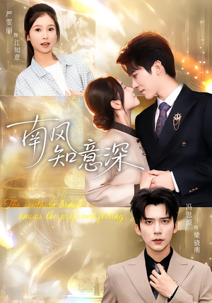 南风知意深（40集）短剧追到爽