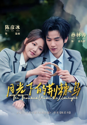 月光下的荆棘鸟（80集）热门短剧推荐。