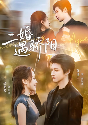 二婚遇骄阳（65集）精彩短剧随心推