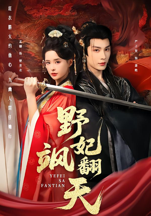 野妃飒翻天（62集）观看软件