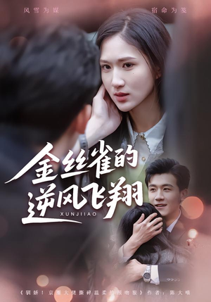 金丝雀的逆风飞翔（80集）免费看