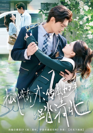 枫城奇才：传承加身踏清北（80集）常回家看看短剧