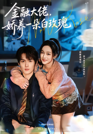 金融大佬，娇养一朵白玫瑰（70集）今日最火短剧